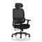Rowan Mesh Back Chair With Headrest, Adjustable Arms, Black