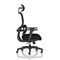 Rowan Mesh Back Chair With Headrest, Adjustable Arms, Black
