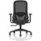 Prism Mesh Back Chair, Height Adjustable Arms, Black