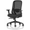Prism Mesh Back Chair, Height Adjustable Arms, Black