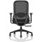Prism Mesh Back Chair, Height Adjustable Arms, Black