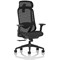 Prism Mesh Back Chair, Headrest, Height Adjustable Arms, Black