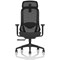Prism Mesh Back Chair, Headrest, Height Adjustable Arms, Black