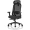 Prism Mesh Back Chair, Headrest, Height Adjustable Arms, Black