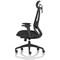 Prism Mesh Back Chair, Headrest, Height Adjustable Arms, Black