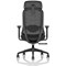 Prism Mesh Back Chair, Headrest, Height Adjustable Arms, Black