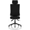Orlena High Back Task Operator Chair, Headrest, Black