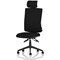 Orlena High Back Task Operator Chair, Headrest, Black