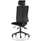 Orlena High Back Task Operator Chair, Headrest, Black