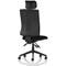 Orlena High Back Task Operator Chair, Headrest, Black