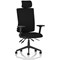 Orlena High Back Task Operator Chair, Headrest, Height Adjustable Arms, Black