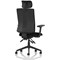 Orlena High Back Task Operator Chair, Headrest, Height Adjustable Arms, Black