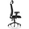 Orlena High Back Task Operator Chair, Headrest, Height Adjustable Arms, Black