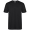 ORN Plover Unisex T-Shirt, Black, 2XL