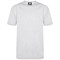 ORN Plover Unisex T-Shirt, Ash Grey, Medium