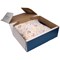 GoSecure Post Box, W475xD250xH150mm, White and Blue, Pack of 15