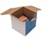 GoSecure Post Box, W160xD160xH160mm, White and Blue, Pack of 20