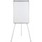 Bi-Office Easy Biofusion Magnetic Tripod Easel, Lacquered Steel Surface, 700x1000mm