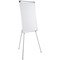 Bi-Office Easy Biofusion Magnetic Tripod Easel, Lacquered Steel Surface, 700x1000mm