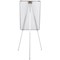 Bi-Office Easy Biofusion Magnetic Tripod Easel, Lacquered Steel Surface, 700x1000mm