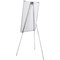 Bi-Office Easy Biofusion Magnetic Tripod Easel, Lacquered Steel Surface, 700x1000mm