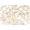 Bi-Office Earth Wood Push Pins, Pack of 20