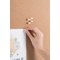 Bi-Office Earth Wood Push Pins, Pack of 20
