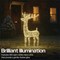 LED Outdoor Light Up Deer 780mm Silver/Warm White XH10093