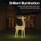 LED Outdoor Metal Light Up Deer 1180mm Silver/Warm White XH10094