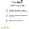 Pukka Supreme Matcha Green Tea, Pack of 20