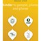 Pukka Organic Lemon Ginger & Manuka Honey Tea Bags, Pack of 20