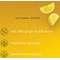 Pukka Organic Lemon Ginger & Manuka Honey Tea Bags, Pack of 20