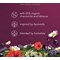 Pukka Organic Night Time Berry Herbal Tea Bags, Pack of 20