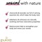 Pukka Night Time Berry Organic Tea Bags, Pack of 20