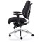 Chiro Plus Ergo Posture Chair, Height Adjustable Arms, Black