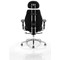 Chiro Plus Ergo Posture Chair, Headrest, Height Adjustable Arms, Black - Delivered Built
