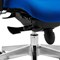 Chiro Plus Ultimate Chair with Headrest, Blue, Assembled