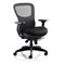 Stealth Shadow Ergo Mesh Back Posture Chair, Height Adjustable Arms, Black - Delivered Built