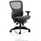 Stealth Shadow Ergo Mesh Back Posture Chair, Height Adjustable Arms, Black - Delivered Built
