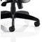 Stealth Shadow Ergo Mesh Back Posture Chair, Height Adjustable Arms, Black - Delivered Built