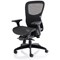 Stealth Shadow Ergo Mesh Back Posture Chair, Height Adjustable Arms, Black