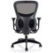 Stealth Shadow Ergo Mesh Back Posture Chair, Height Adjustable Arms, Black