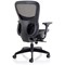 Stealth Shadow Ergo Mesh Back Posture Chair, Height Adjustable Arms, Black