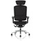Ergo Click Plus Fabrimesh Operator Chair, Headrest, Height Adjustable Arms, Black