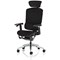Ergo Click Plus Fabrimesh Operator Chair, Headrest, Height Adjustable Arms, Black