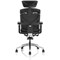 Ergo Click Plus Fabrimesh Operator Chair, Headrest, Height Adjustable Arms, Black