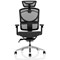 Ergo Click Plus Mesh Operator Chair, Headrest, Height Adjustable Arms, Black