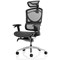 Ergo Click Plus Mesh Operator Chair, Headrest, Height Adjustable Arms, Black