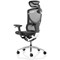 Ergo Click Plus Mesh Operator Chair, Headrest, Height Adjustable Arms, Black