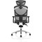 Ergo Click Plus Mesh Operator Chair, Headrest, Height Adjustable Arms, Black